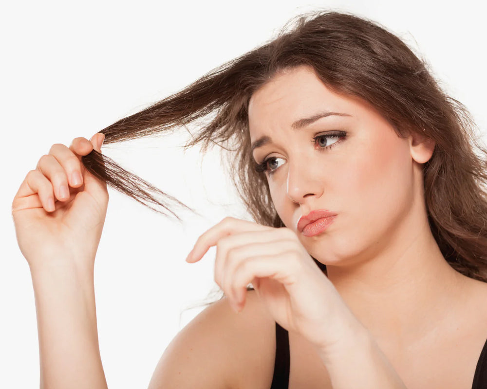 Hair Fall Shampoo