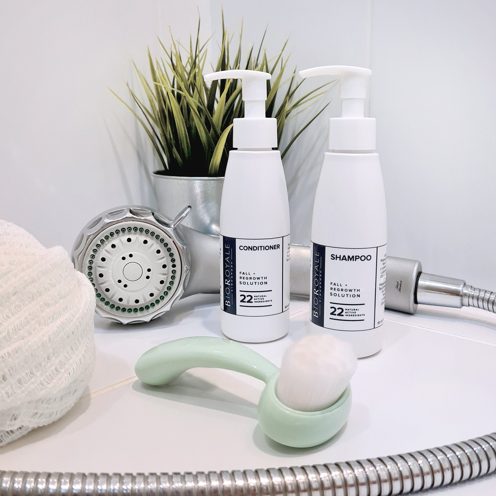 hair fall shampoo, best hair conditioner