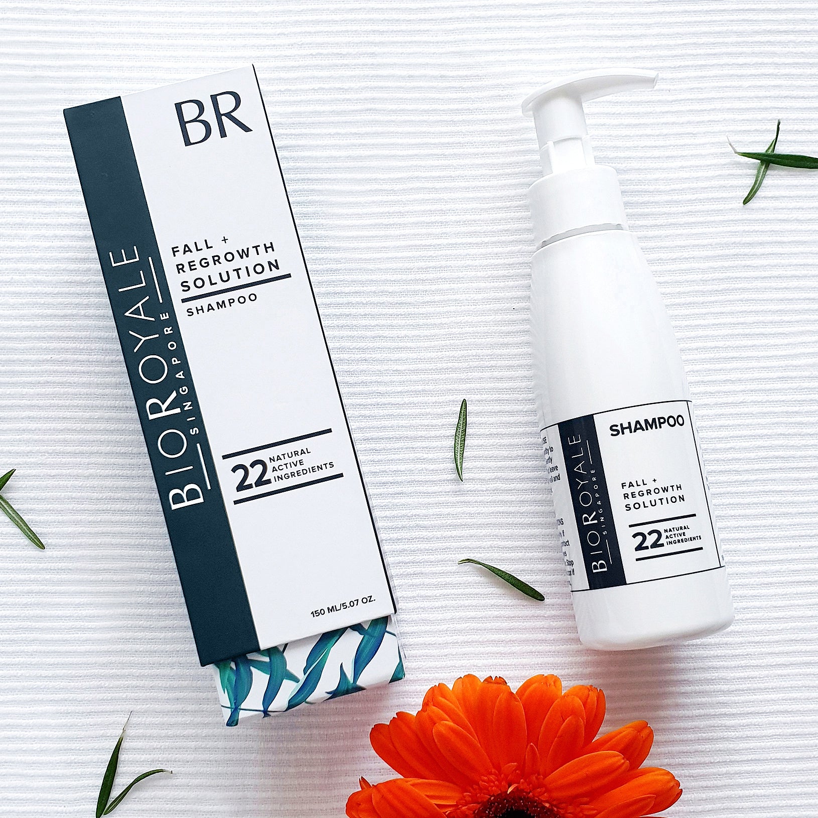 Hair Fall Shampoo, Best Shampoo For Hair Fall