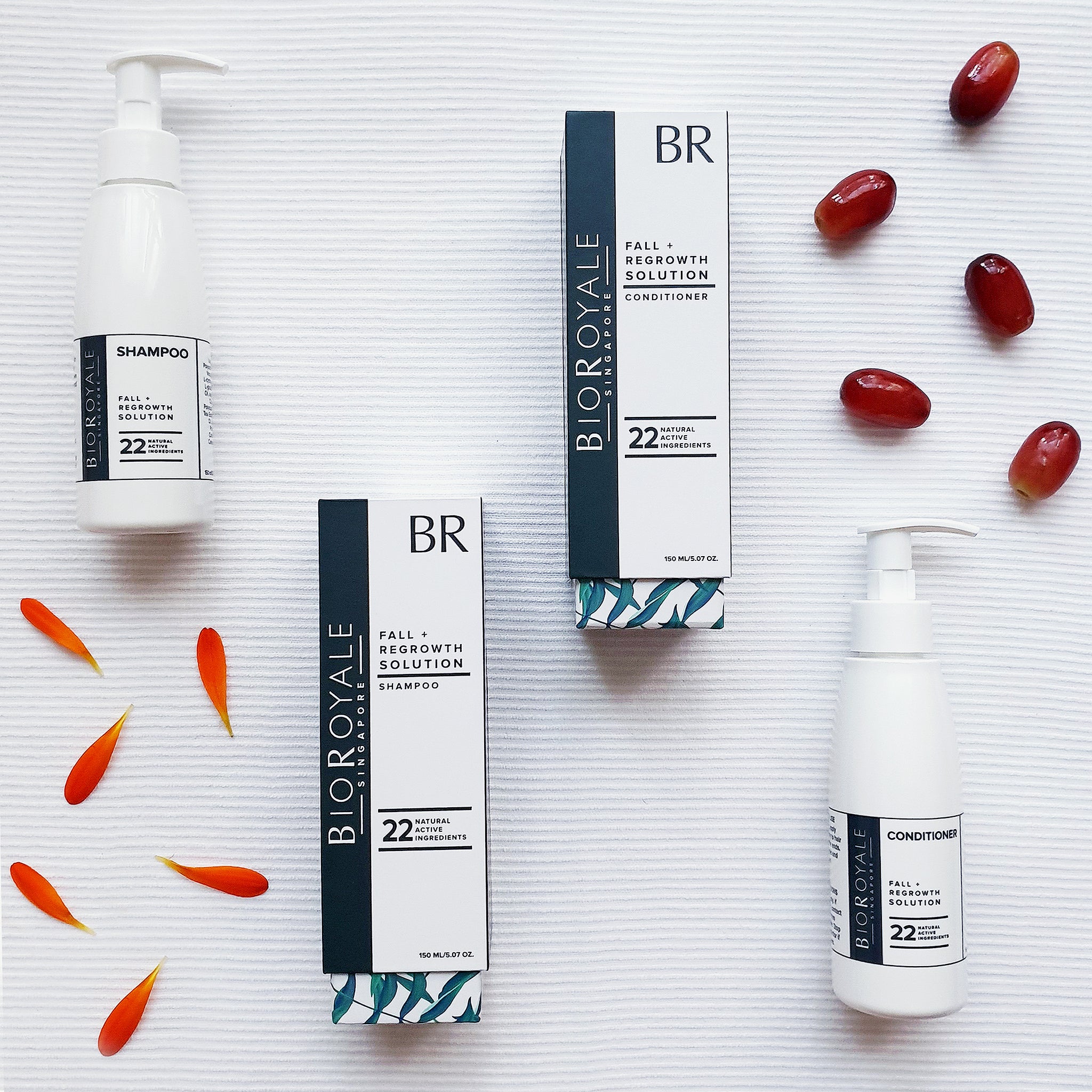 Shampoo and Conditioner